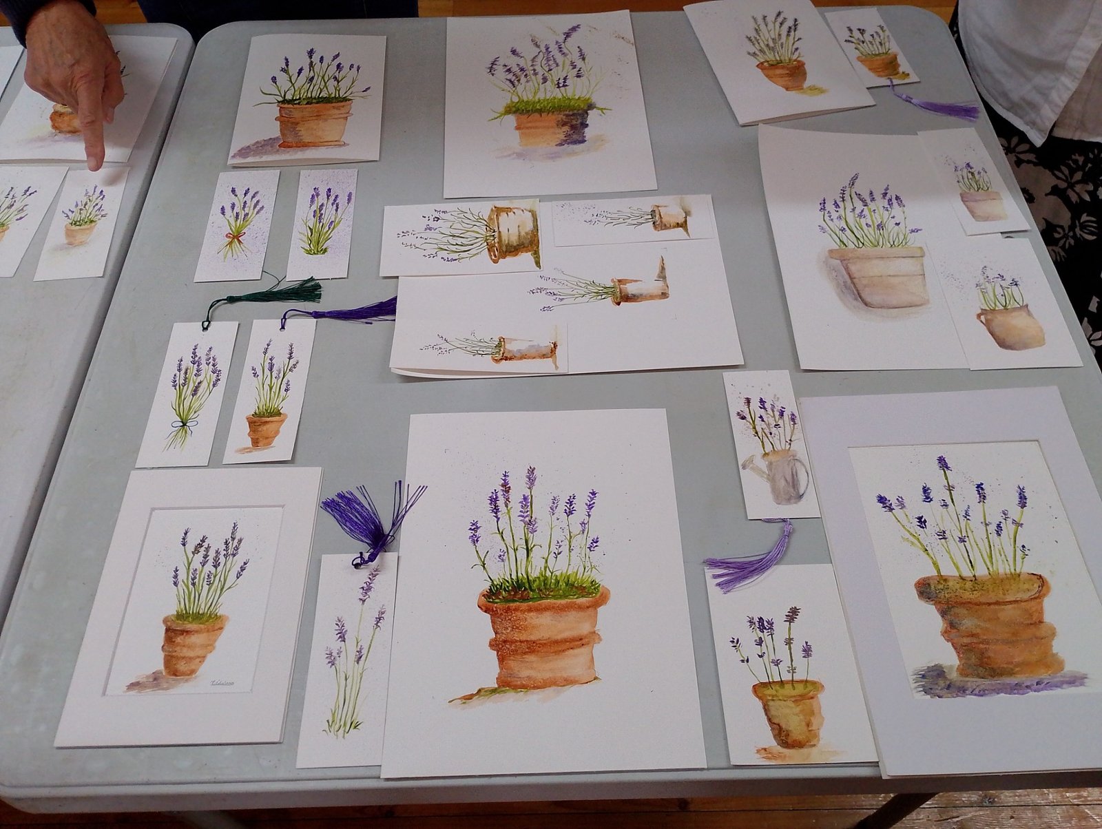 lavender